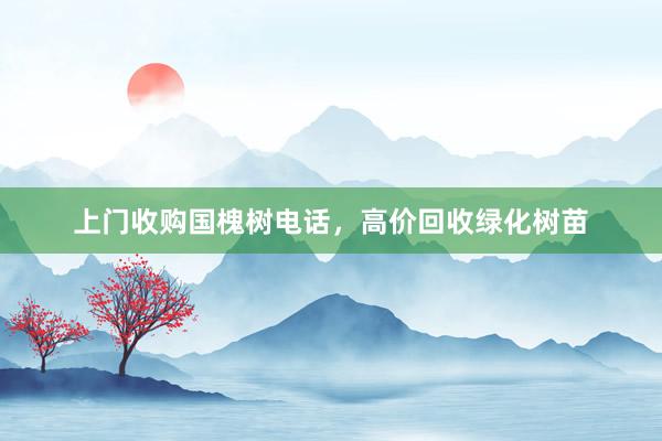 上门收购国槐树电话，高价回收绿化树苗