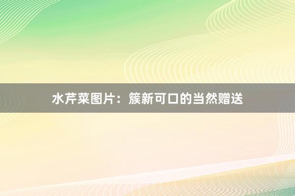 水芹菜图片：簇新可口的当然赠送