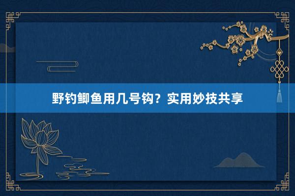 野钓鲫鱼用几号钩？实用妙技共享