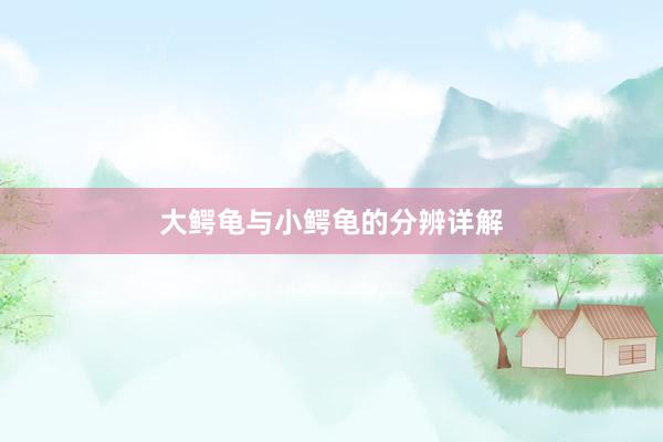 大鳄龟与小鳄龟的分辨详解