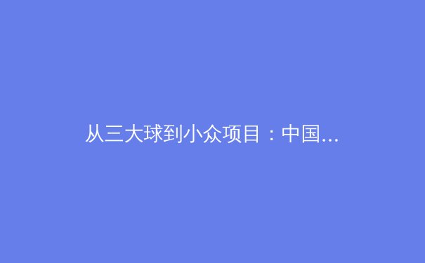 从三大球到小众项目：中国职业体育的生态重构与价值突围